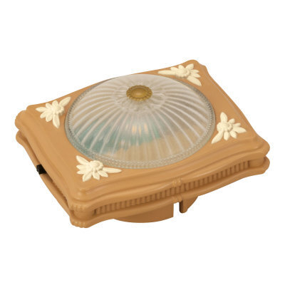 Ceiling Light